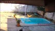 CASA LAGO AZUL DE 1 DORMITÓRIO COM PISCINA