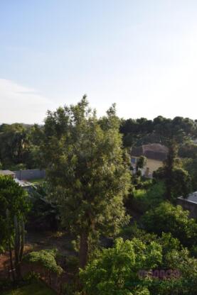 Apartamento locação em Ivoti