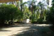 Casas e Sobrados