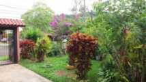 Casas e Sobrados